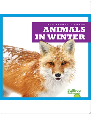 What Happens In Winter? Animals In Winter book
