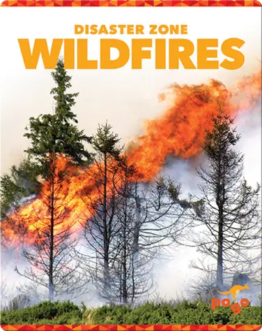 Disaster Zone: Wildfires book