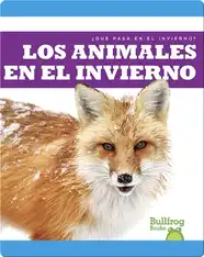 Los Animales en el Invierno (¿Qué Pasa en el Invierno?)
