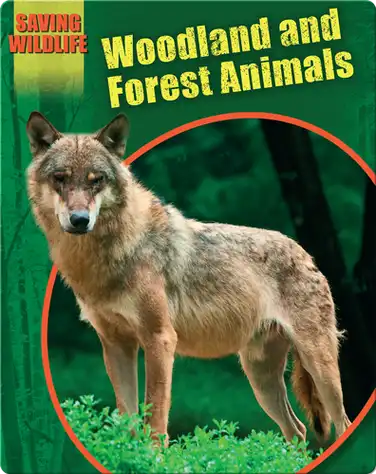 Woodland and Forest Animals book