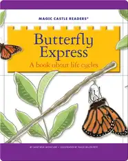 Butterfly Express: A Book about Life Cycles