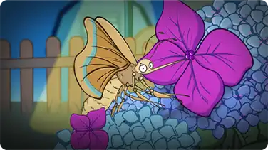 I'm a Moth book