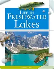 Life in Fresh Water Lakes