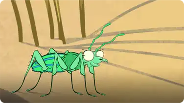 I'm a Tiger Beetle book