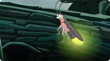 I'm a Firefly book