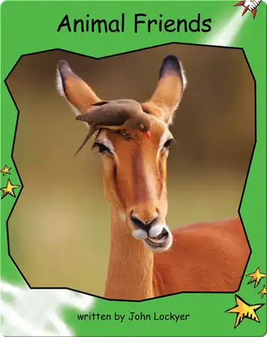 Animal Friends book