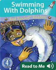 Swimming With Dolphins