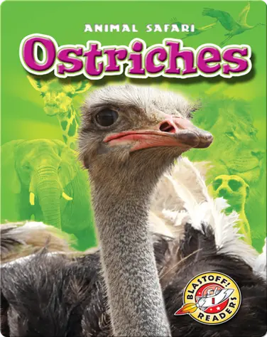 Ostriches book