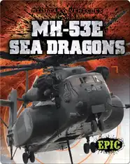 MH-53E Sea Dragons