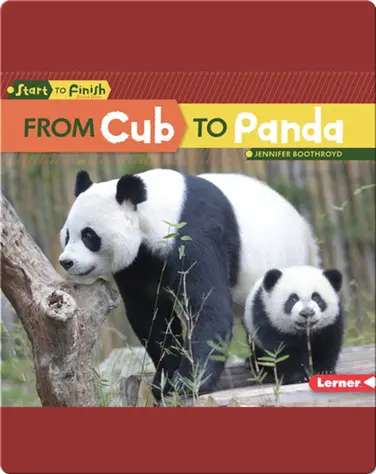From Cub to Panda book