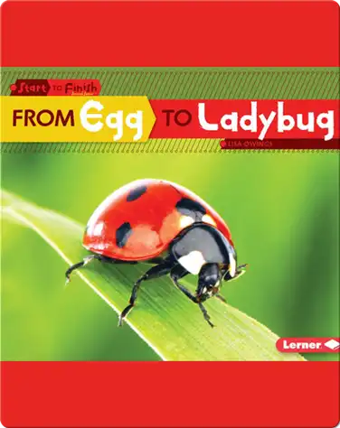 From Egg to Ladybug book