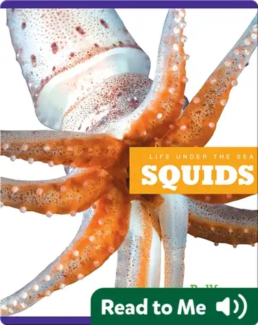 Life Under The Sea: Squids book