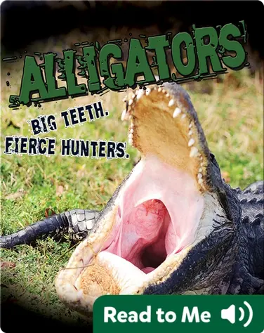 Alligators. Big Teeth. Fierce Hunters! book