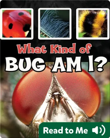 What Kind of Bug Am I? book