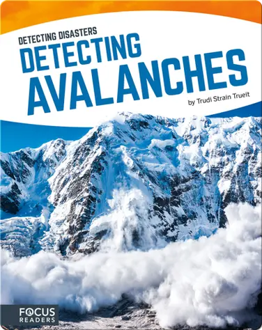 Detecting Avalanches book