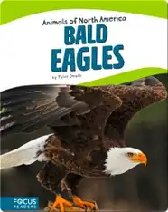 Bald Eagles