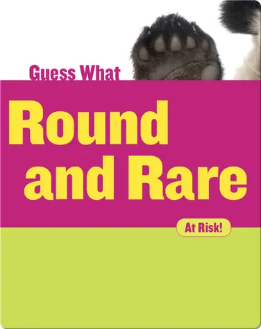 Round and Rare: Giant Panda book