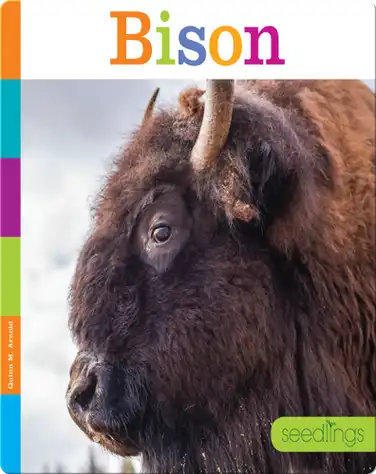 Bison book