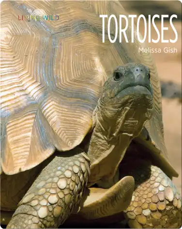 Tortoises book