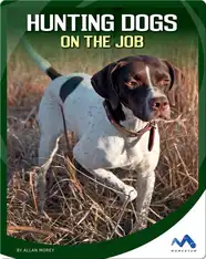 Hunting Dogs on the Job