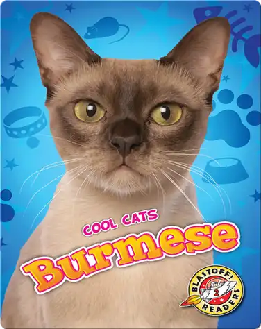 Cool Cats: Burmese book