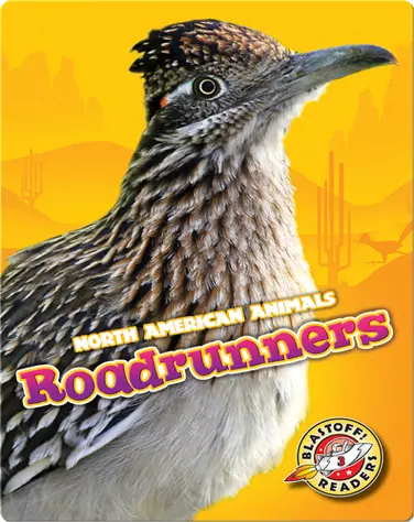North American Animals: Roadrunners book