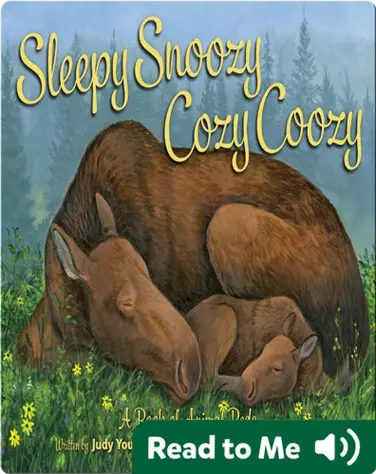 Sleepy Snoozy Cozy Coozy book