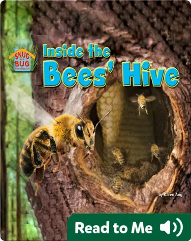 Inside the Bees' Hive book
