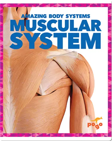 Amazing Body Systems: Muscular System book