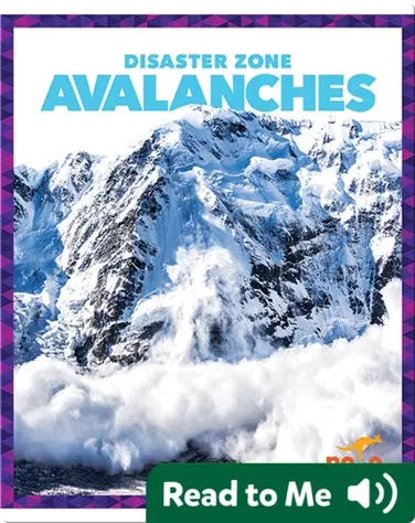 Disaster Zone: Avalanches book