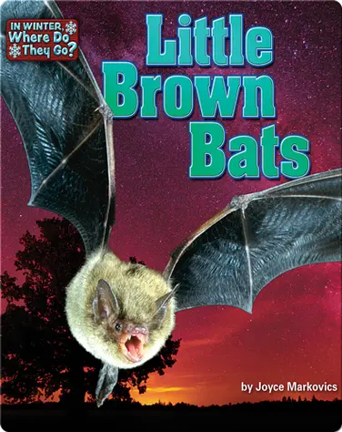 Little Brown Bats book