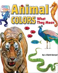 Animal Colors