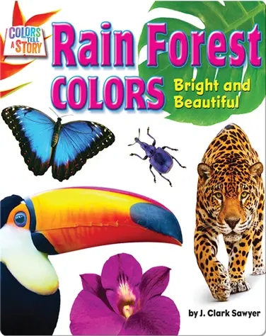 Rain Forest Colors book