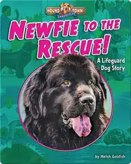 Newfie to the Rescue! A Lifeguard Dog Story