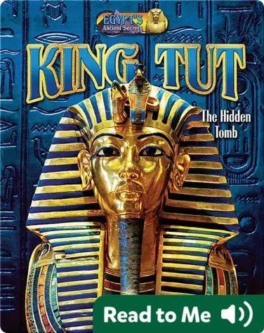 King Tut book