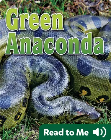 Green Anaconda book
