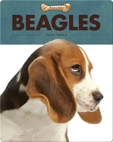 Beagles book