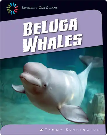 Beluga Whales book