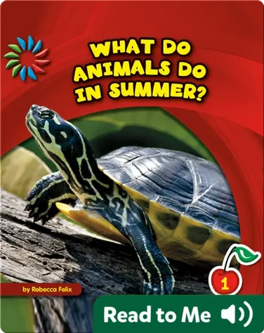 What Do Animals Do in Summer? book