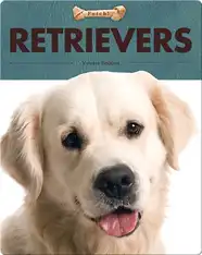 Retrievers