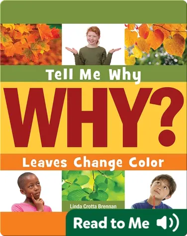 Leaves Change Color book
