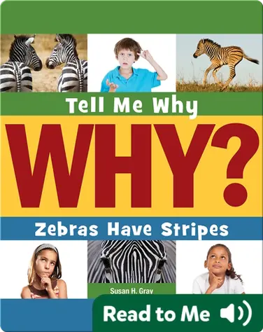 Zebras Have Stripes book