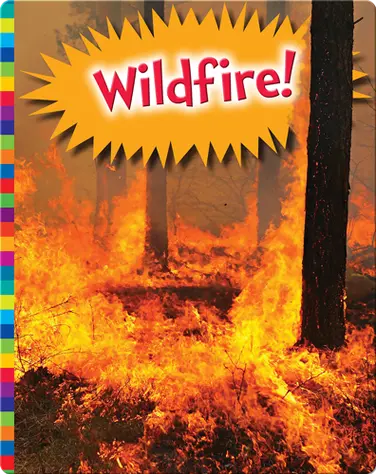 Wildfire! book
