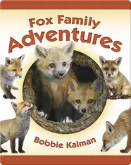 Fox Family Adventures