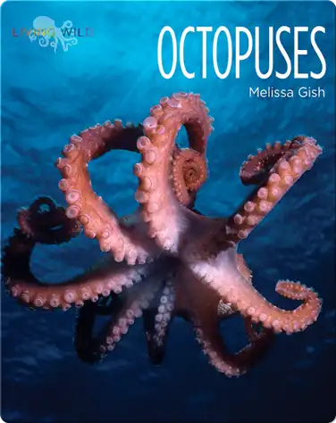 Octopuses book