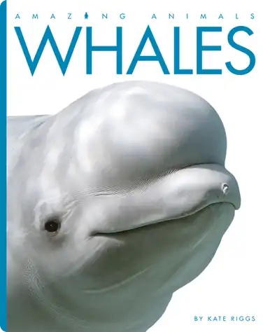Whales book