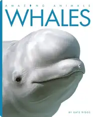 Whales