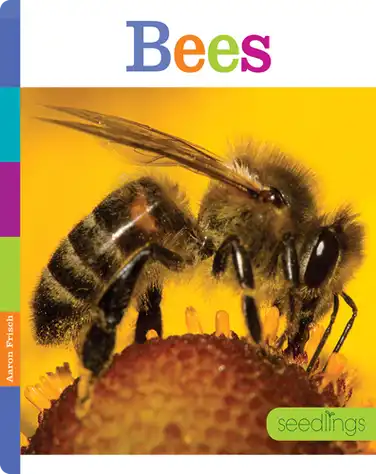 Bees book