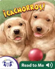 ¡Cachorros!