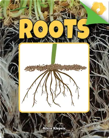 Roots book